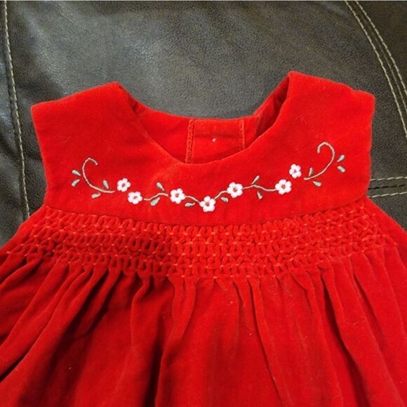 Red Floral Velvety Smoked Dress - Picture 3 of 10